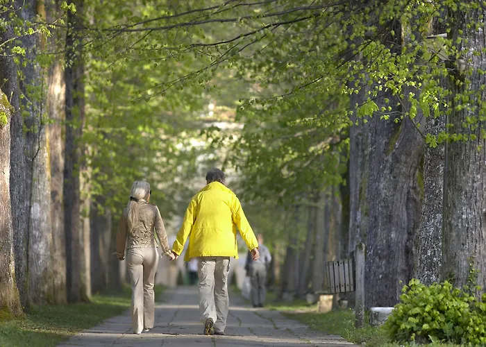 Depandance Higiea - Terme Hotel