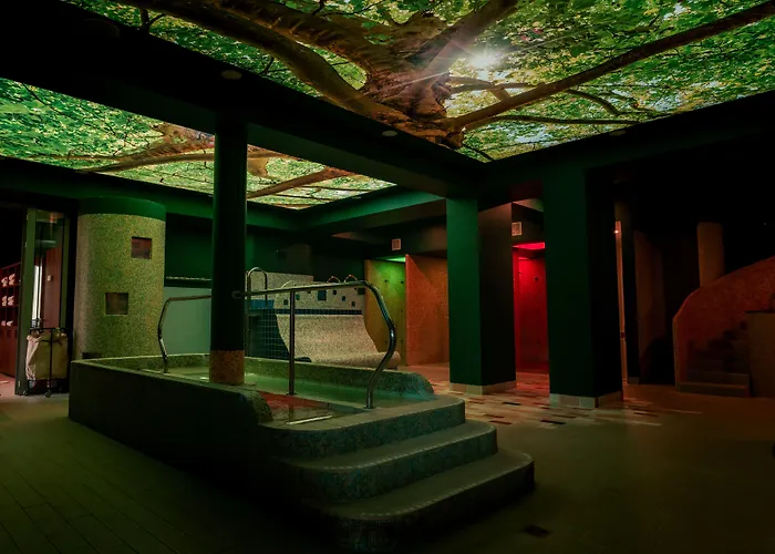 Depandance Higiea - Terme 4* Dobrna