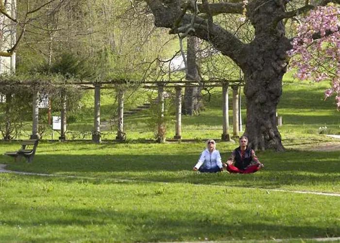 Hotel Depandance Higiea - Terme 4*